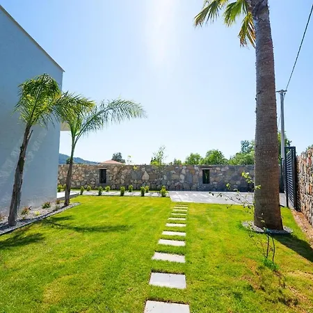 Palma 2 فيلة Beyobasi